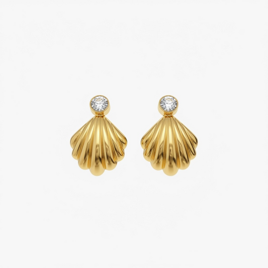 Sun Kissed Shells